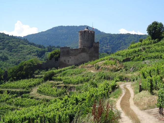 Tourisme dans les Vosges